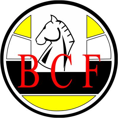 4TH ASEAN+ AGE GROUP CHESS CHAMPIONSHIPS - BRUNEI 2003